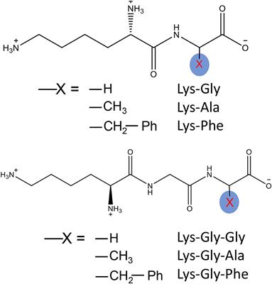 Sodium Ions Affect Pyrraline Formation in the Maillard Reaction With Lys-Containing Dipeptides and Tripeptides